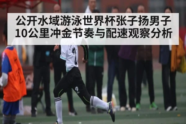 公开水域游泳世界杯张子扬男子10公里冲金节奏与配速观察分析 | kaiyun sports